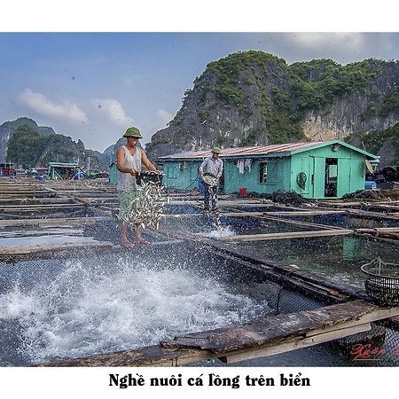 Cat Ba Hostel Cat Ba Island Екстер'єр фото