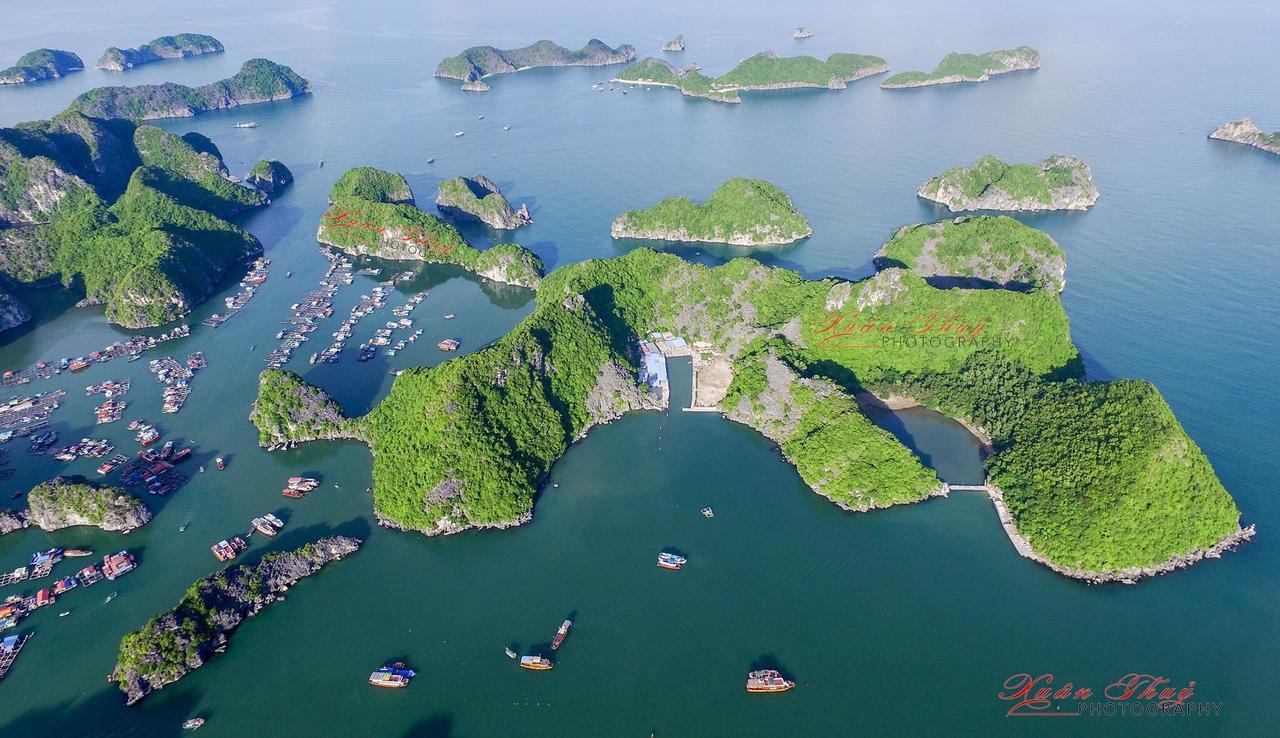 Cat Ba Hostel Cat Ba Island Екстер'єр фото