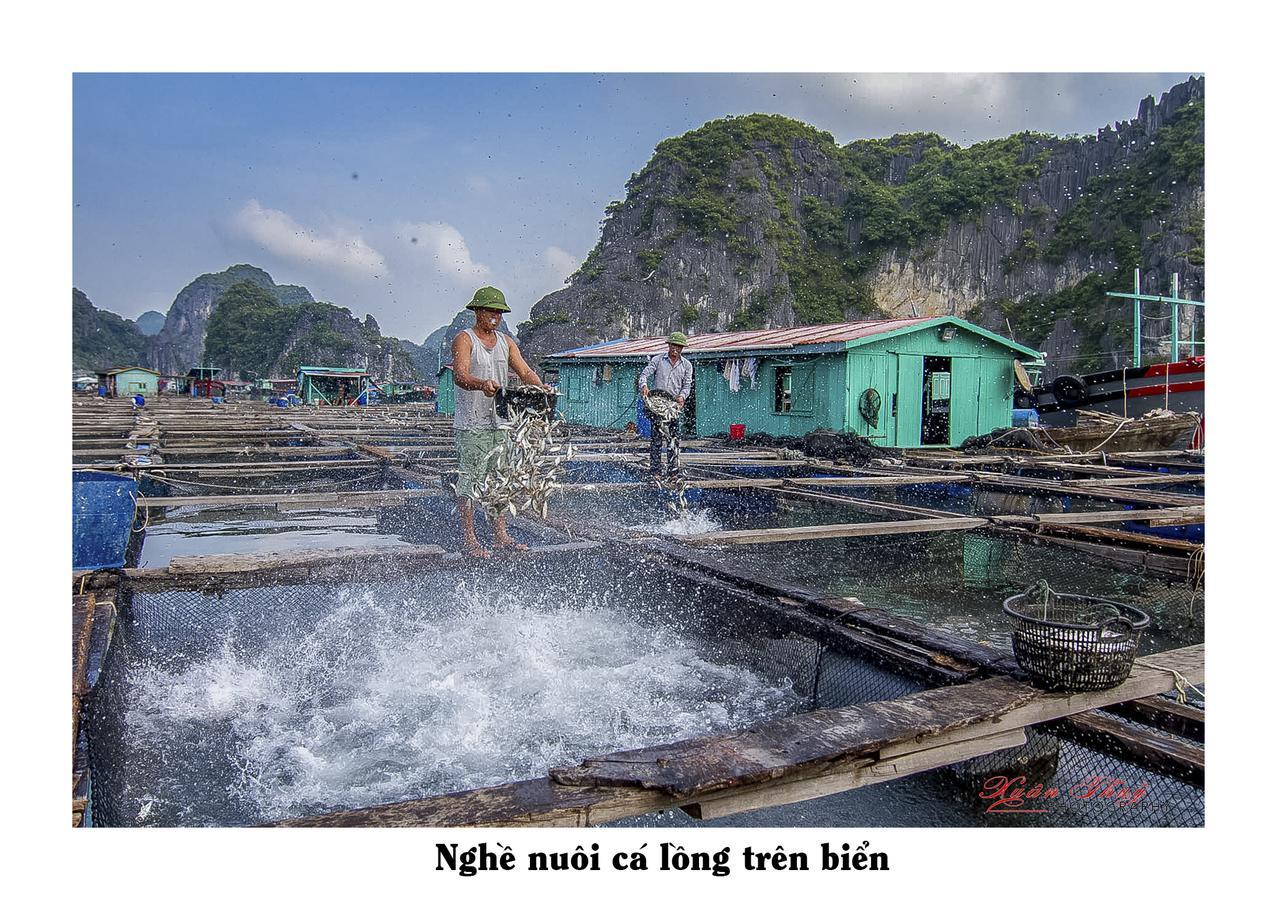 Cat Ba Hostel Cat Ba Island Екстер'єр фото