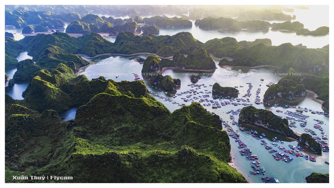 Cat Ba Hostel Cat Ba Island Екстер'єр фото