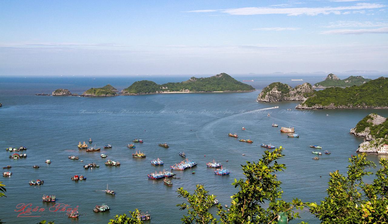 Cat Ba Hostel Cat Ba Island Екстер'єр фото