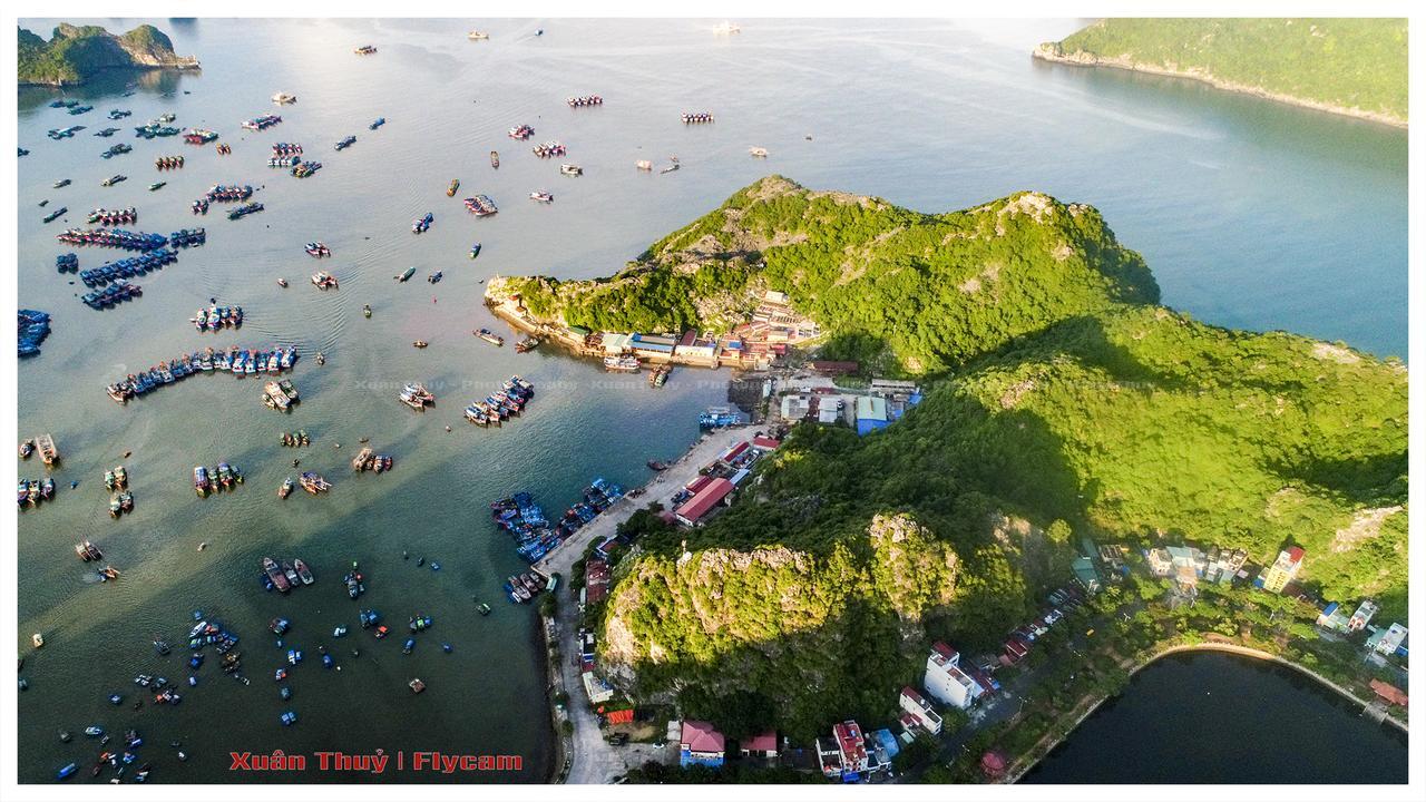 Cat Ba Hostel Cat Ba Island Екстер'єр фото